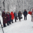 1 - Городская библиотека им. А. Грина